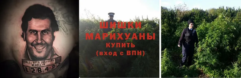 Бошки марихуана SATIVA & INDICA  mega tor  Балахна  купить  сайты 